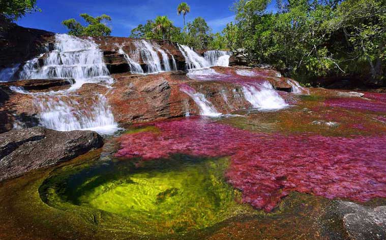 Caño Cristales