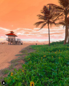 Miami Sunset